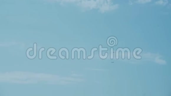 两只海鸥迎风飞翔留在原地在海面上迎着蓝天视频的预览图