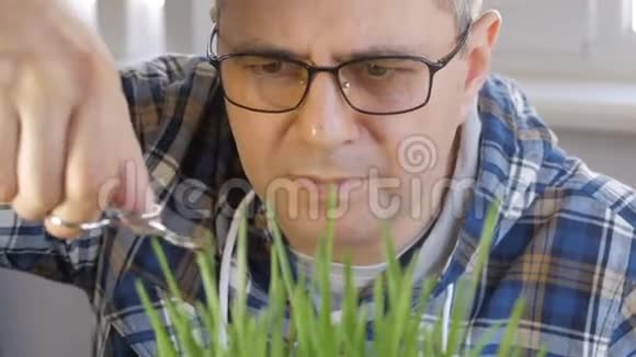 一个中年男子戴着眼镜用修指甲的剪刀修剪草坪视频的预览图
