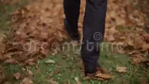 在秋天的红日里一个人走在地上的枫叶上视频的预览图