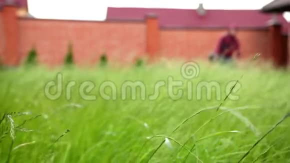 绿草如茵迎风摇曳午后夏日男人在割草机上割草视频的预览图