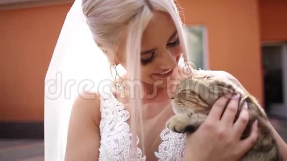 美丽的新娘和她可爱的猫女孩她的宠物金发女孩玩她的猫视频的预览图