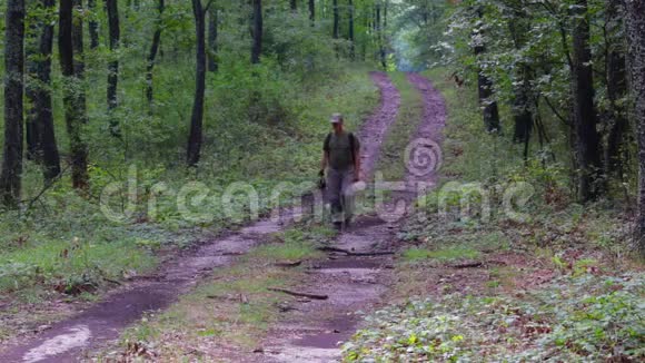 春天中年自然摄影师漫步在森林中视频的预览图