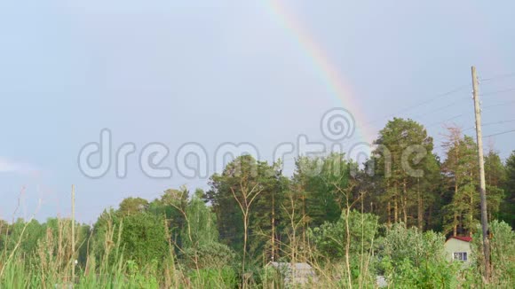 彩虹覆盖森林视频的预览图