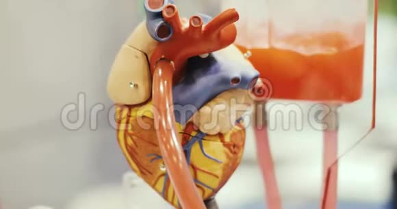 临床试验研究一种功能性心脏机器人模型视频的预览图