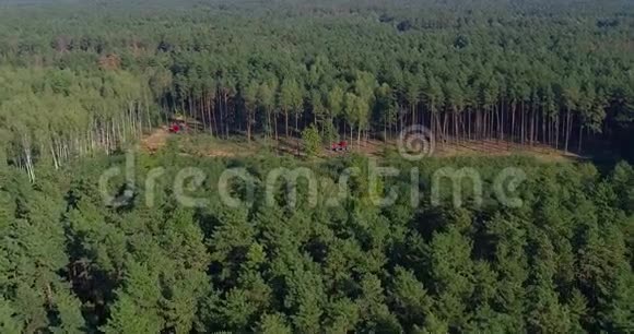砍伐森林特种设备从无人机上看森林收割机的工作茂密松林的砍伐视频的预览图