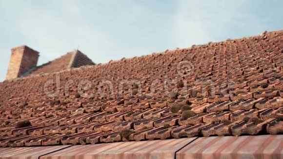 古老的屋顶瓦片红色长满青苔古堡视频的预览图