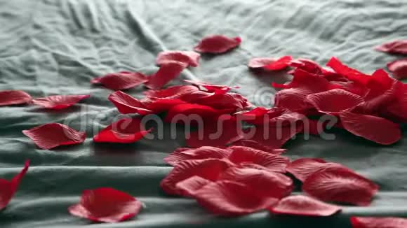 合上床上的玫瑰花瓣视频的预览图