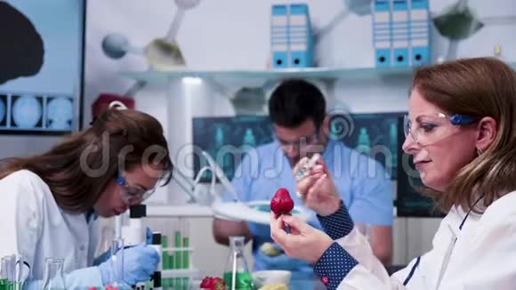 食品遗传学科学家在草莓中注射转基因视频的预览图