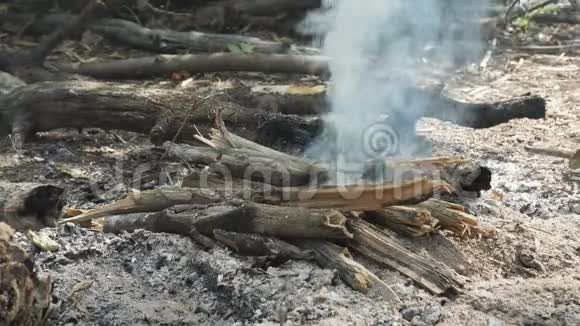柴火在篝火旁吸烟视频的预览图