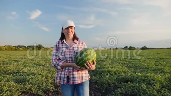 女农夫手里拿着成熟的西瓜视频的预览图