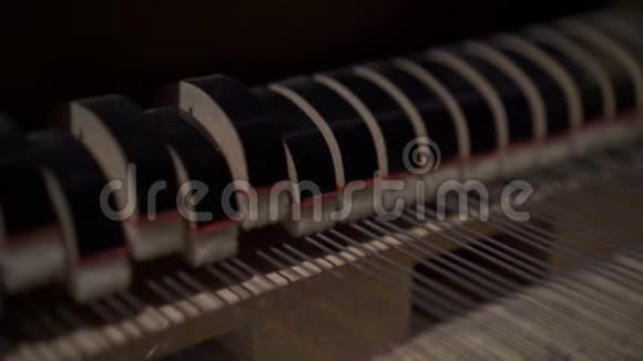 钢琴键盘和琴弦视频的预览图