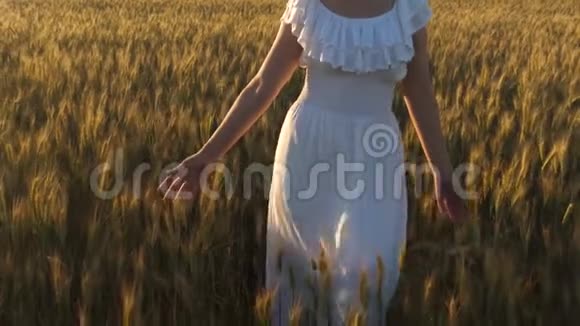 一个女人带着金色的麦子在天空中穿行有机小麦一个漂亮的女孩走过田野视频的预览图