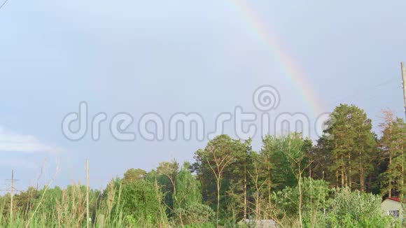 彩虹覆盖森林视频的预览图