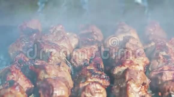在木炭烤架上烧烤在烤肉串上增加烟雾视频的预览图