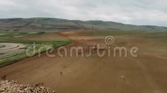 一群羊在山上吃草的时间流逝4K50fps视频的预览图