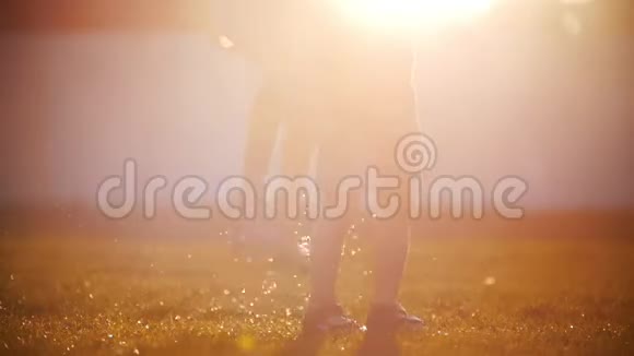 孩子们在草地上的水坑上跳创造一个美丽的喷雾在阳光下闪闪发光神奇的时刻视频的预览图