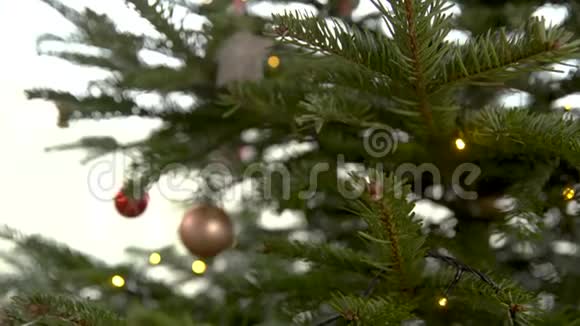 家里的圣诞树上装饰着不同颜色的球视频的预览图