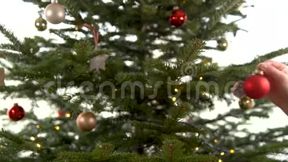 女人在圣诞节前装饰圣诞树视频的预览图