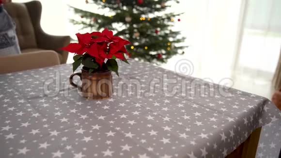 圣诞节的节日餐桌桌布和圣诞星视频的预览图