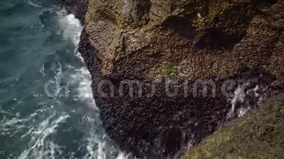 水溅在长满藻类的石头上视频的预览图