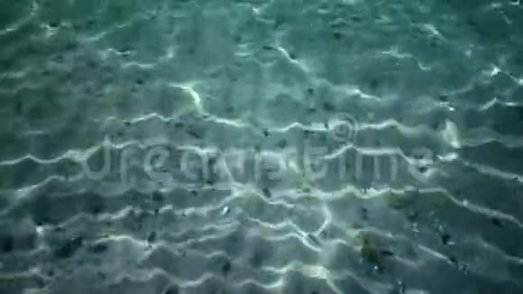 阳光照射在海床上阳光照射在水柱和海床上视频的预览图