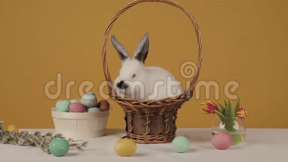 黄色背景的可爱的小白兔放在篮子里桌上放着鸡蛋视频的预览图