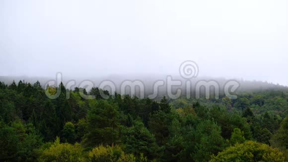 雾蒙蒙的时间推移随着松树林吹过群山视频的预览图