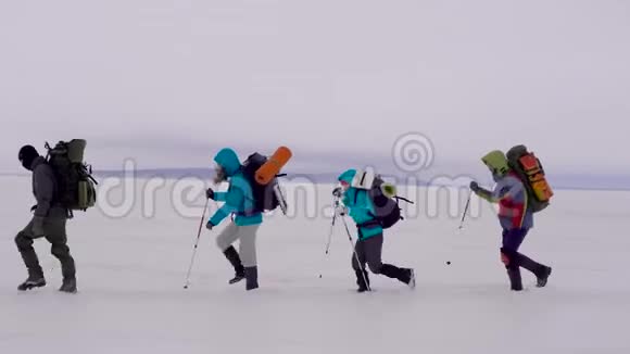 在寒冷的冬天四个徒步旅行者在雪地上互相散步用棍子帮助自己视频的预览图