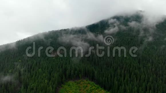 从山顶的云层中飞过高山清晨日出自然森林视频的预览图
