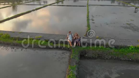 一个幸福的家庭坐在人行道上穿过被水填满的大田野他们享受日落时光视频的预览图