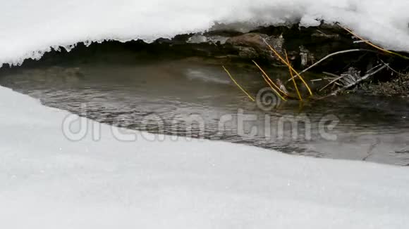 在白雪和冰雪融化的背景下人群中危险的洗涤视频的预览图