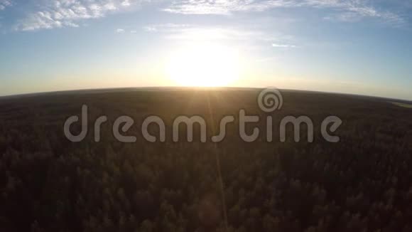 日落时飞过森林视频的预览图