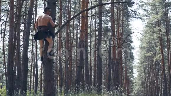 穿皮衣服的野蛮人从树上环顾四周视频的预览图