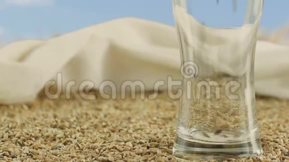 大麦麦芽在玻璃杯中用于制作工艺啤酒或威士忌对抗金田和谷物性质和概念视频的预览图