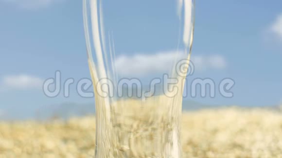 玻璃酒杯中的大麦麦芽用于制作工艺啤酒或威士忌对抗金田和谷物视频的预览图