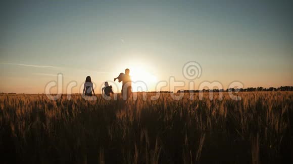 在温暖的夏日傍晚一家人在夕阳下的麦田里散步小儿子坐在父亲的肩上视频的预览图