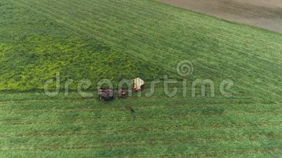 阿米什农场工人在春天用四匹马和三只狗收割田地就像无人机看到的那样视频的预览图