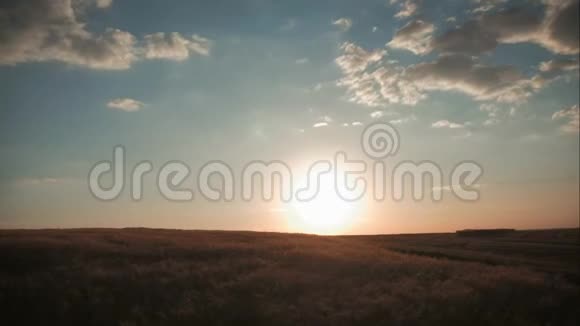 时间推移日落在麦田视频的预览图