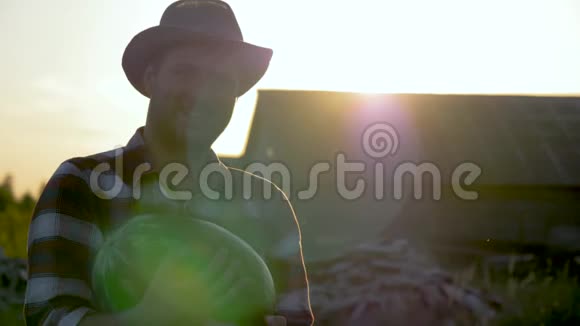 戴着帽子的白人农民手里拿着成熟的西瓜在日落时视频的预览图