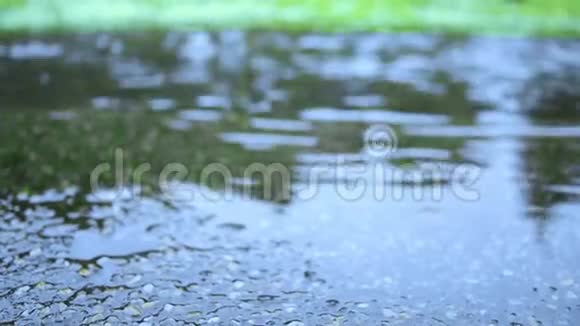 雨天的水坑水滴视频的预览图