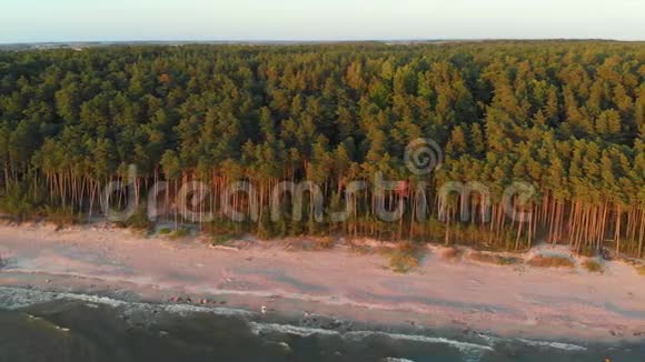 鸟瞰荷兰人Cap立陶宛海滨最高的伤疤视频的预览图