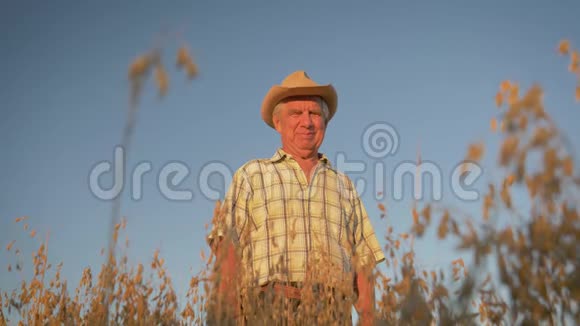 日落时分戴着帽子的老农夫站在燕麦地里视频的预览图