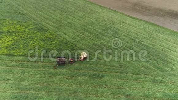 阿米什农场工人在春天用四匹马和三只狗收割田地就像无人机看到的那样视频的预览图