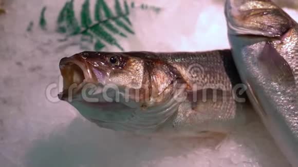 在雪地里的一个市场柜台上合上新鲜的鱼视频的预览图
