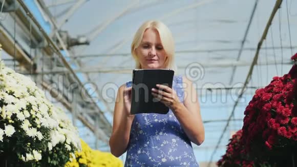 小企业概念的所有者一个女人在花圃里用平板电脑工作视频的预览图
