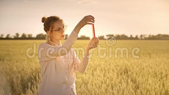 做生物研究的女科学家农业和科学概念视频的预览图