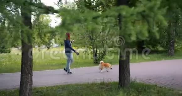 女人在绿色公园遛漂亮的狗在户外使用智能手机视频的预览图