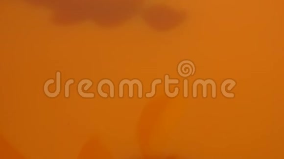 桃子切成薄片视频的预览图