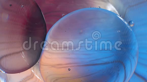 概念细菌或细菌微生物细胞在显微镜下的彩色化学蓝色液体减缓运动视频的预览图