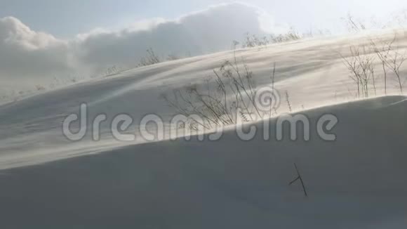 白天山上大雪狂风大作视频的预览图